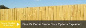 Comparing Costs: Permitted Fence Installations Vs Non-Permitted