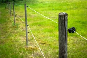 The Psychology Of Tipping: What It Means For Fence Installers