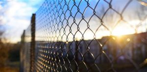 What Is The Cost Of Fence Installation Contractors Near Me?