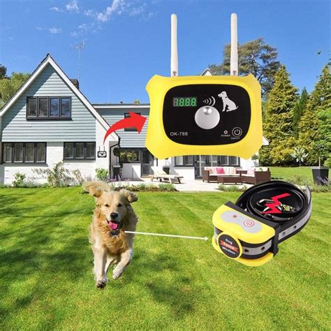 What Is The Cost Of Wireless Dog Fence Installation?