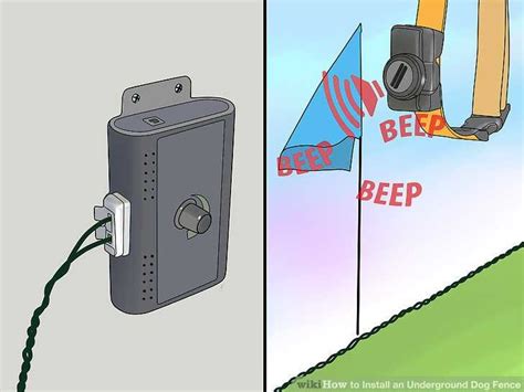 Why Is It Important to Know About How to Install A Dog Fence Electric?