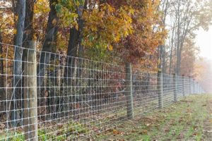 Why Should You Choose Installing Welded Wire Fence?